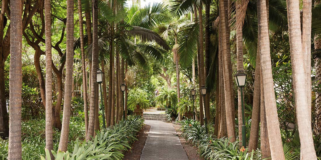 The Duchess Gardens in Gran Canaria